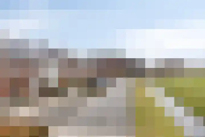 Avenweide 72 Heemskerk thumbnail 27