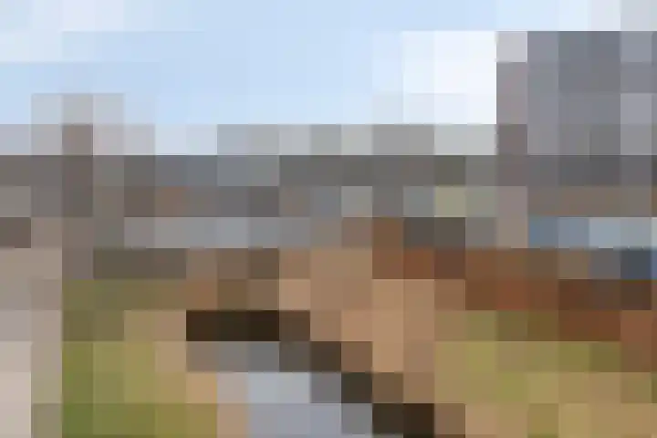 Avenweide 72 Heemskerk thumbnail 28