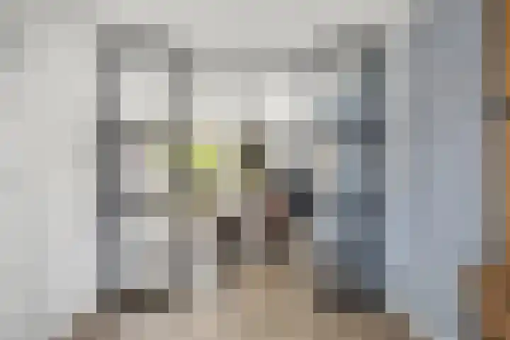 Averbergen 6 Raalte thumbnail 10