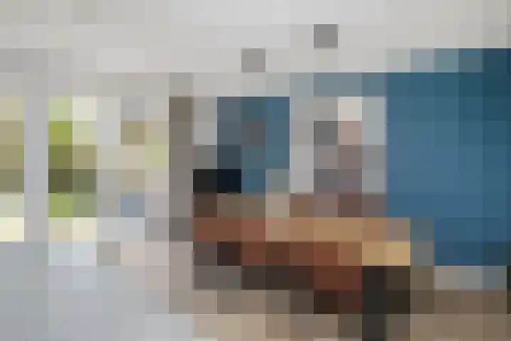 Averbergen 6 Raalte thumbnail 12
