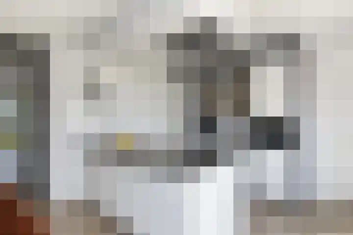 Averbergen 6 Raalte thumbnail 13