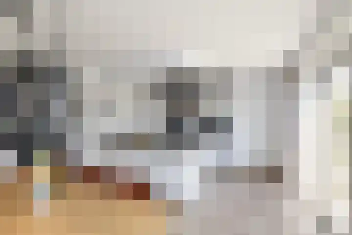 Averbergen 6 Raalte thumbnail 17