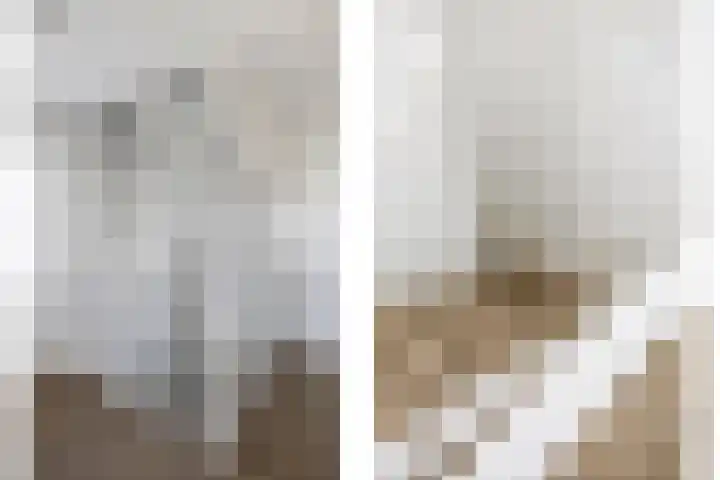Averbergen 6 Raalte thumbnail 27