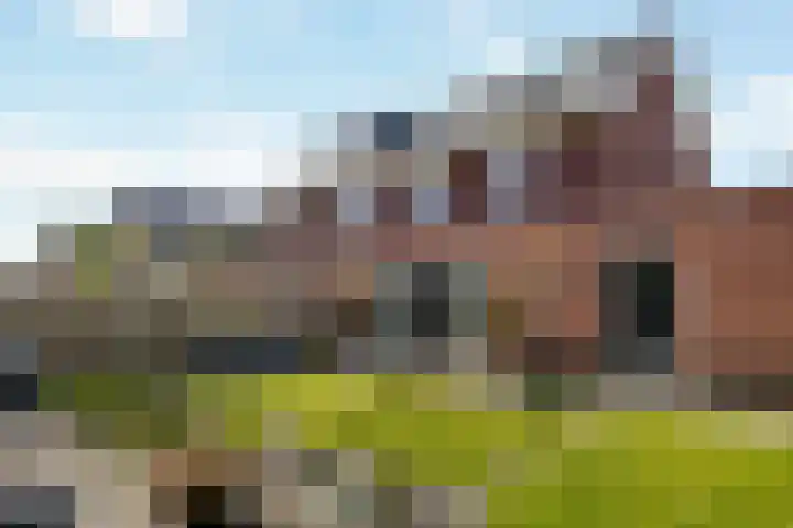 Averbergen 6 Raalte thumbnail 31