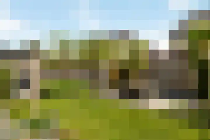 Averbergen 6 Raalte thumbnail 32