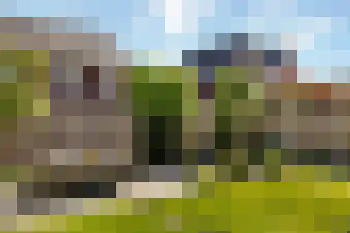 Averbergen 6 Raalte thumbnail 33