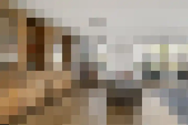 Averbergen 6 Raalte thumbnail 7