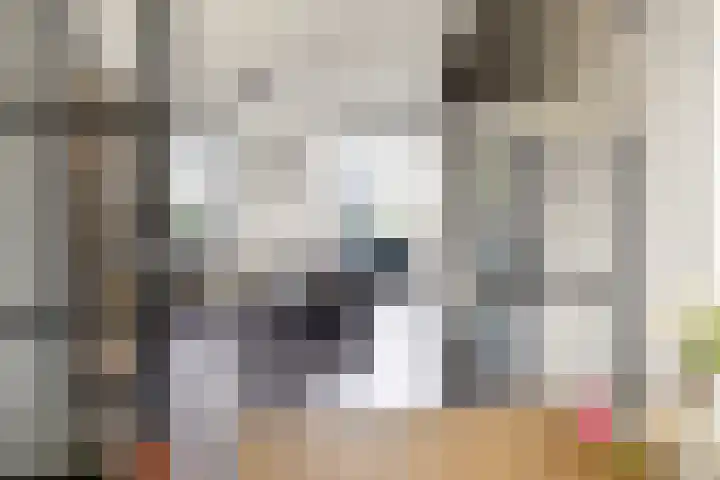 Averbergen 6 Raalte thumbnail 9