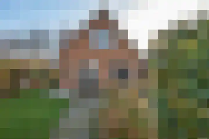 Averinkstraat 17 Delden thumbnail 25
