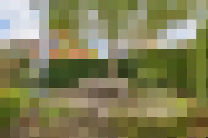 Averinkstraat 7 Delden thumbnail 5