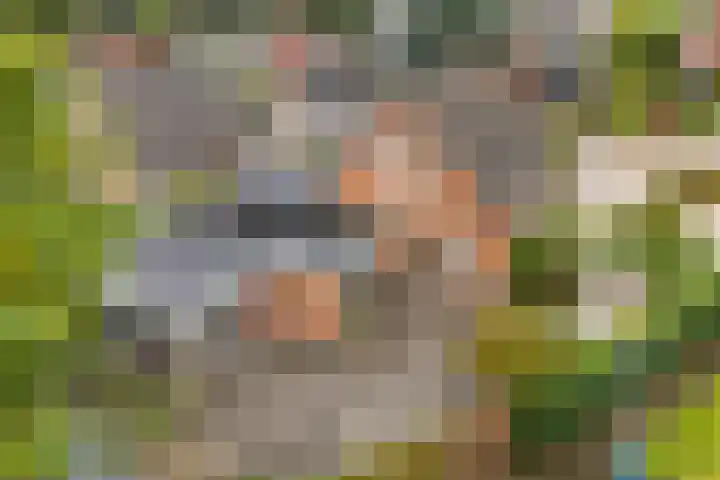 Averinkstraat 7 Delden thumbnail 6