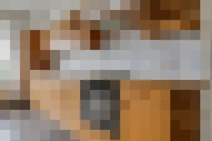 Avesterweg 15 Beltrum thumbnail 17
