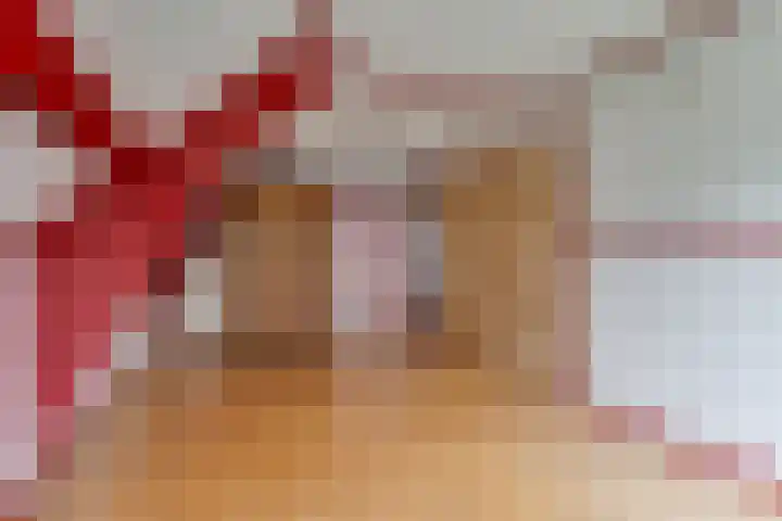 Avesterweg 15 Beltrum thumbnail 34