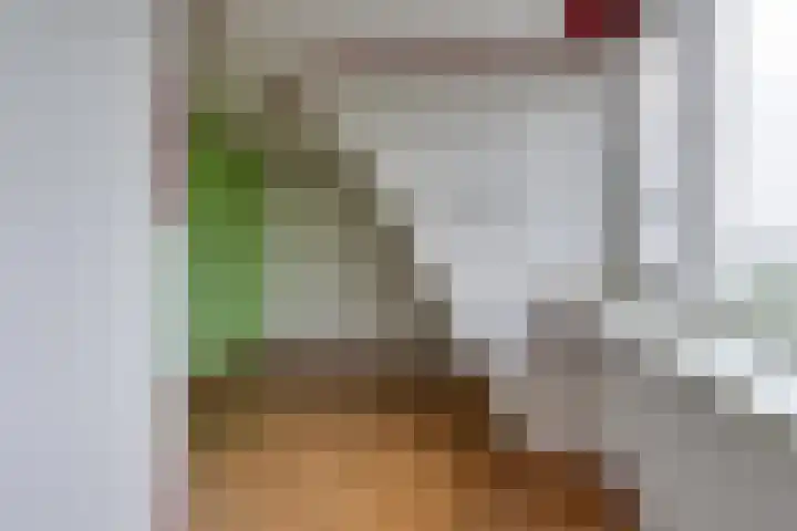 Avesterweg 15 Beltrum thumbnail 37