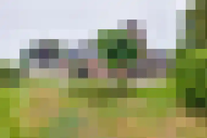 Avesterweg 15 Beltrum thumbnail 46
