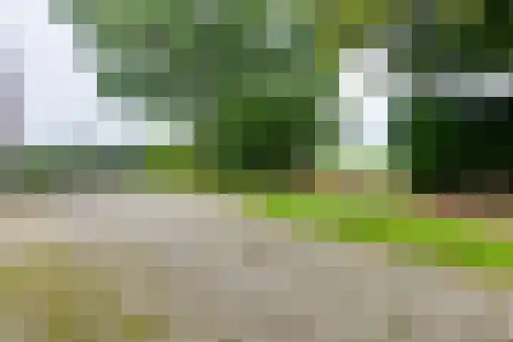 Avesterweg 15 Beltrum thumbnail 51