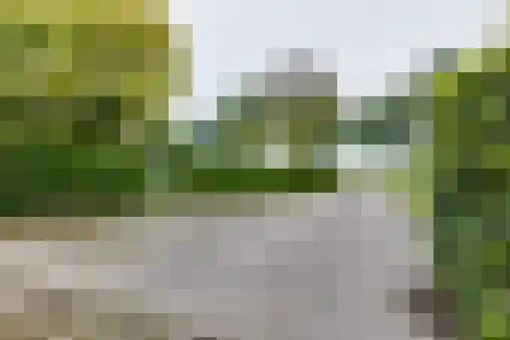 Avesterweg 15 Beltrum thumbnail 57