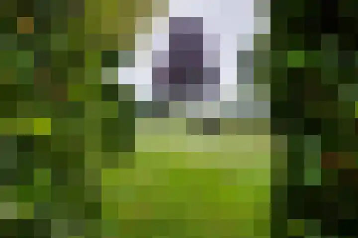 Avesterweg 15 Beltrum thumbnail 58