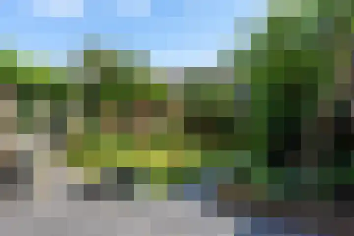 Ávilastraat 20 Lent thumbnail 14