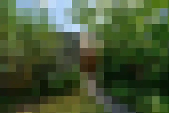 Ávilastraat 20 Lent thumbnail 15