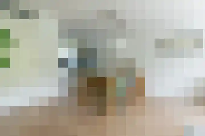 Ávilastraat 20 Lent thumbnail 4