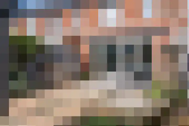 Ávilastraat 36 Lent thumbnail 39