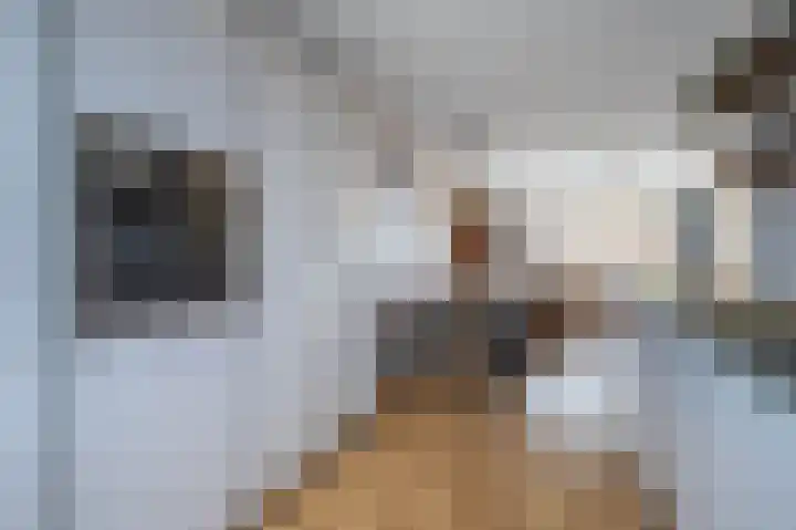 Avondlicht 7 Arnhem thumbnail 12