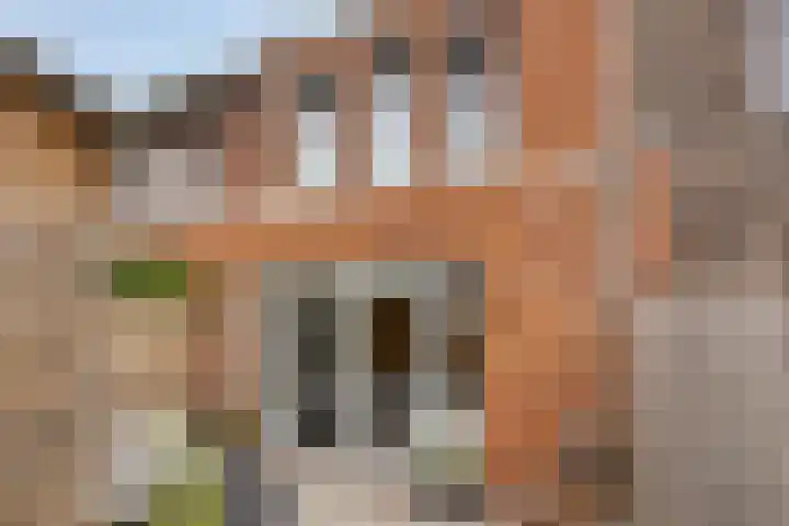 Avondrood 25 Someren thumbnail 28