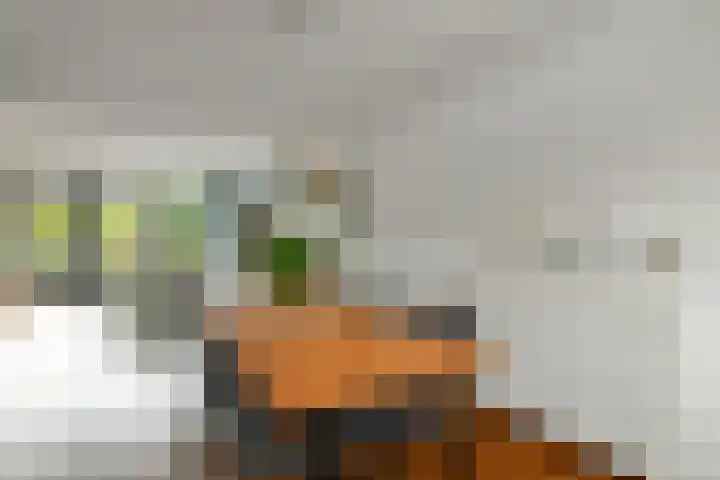 Avondster 30 Elst thumbnail 10