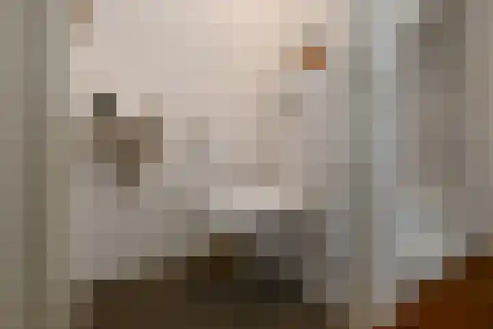 Avondster 30 Elst thumbnail 12