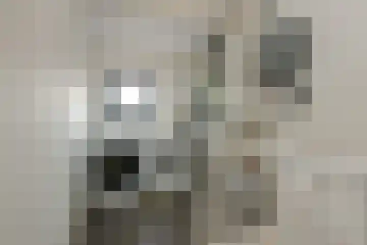 Avondster 30 Elst thumbnail 24