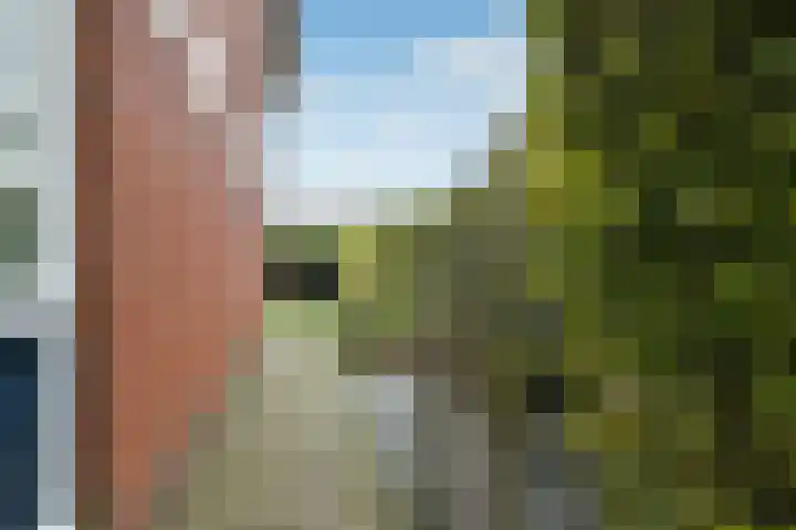 Avondster 30 Elst thumbnail 32
