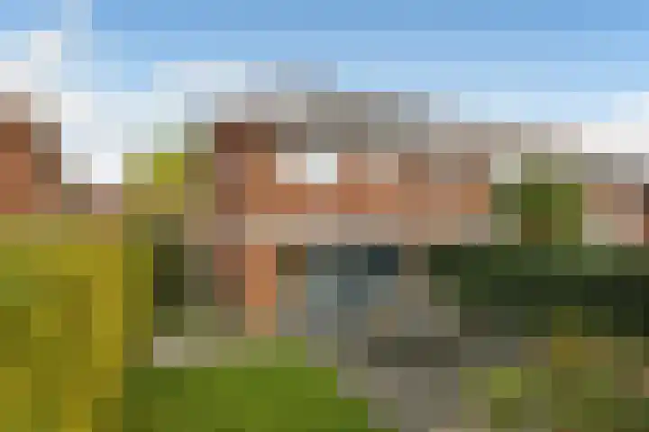 Avondster 30 Elst thumbnail 33