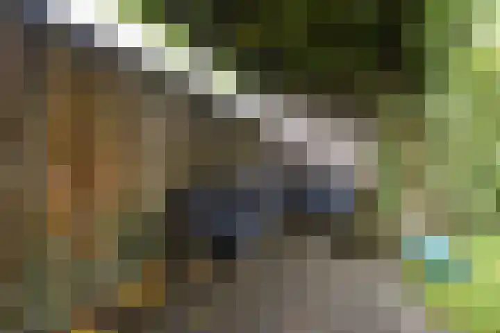 Avondster 30 Elst thumbnail 36