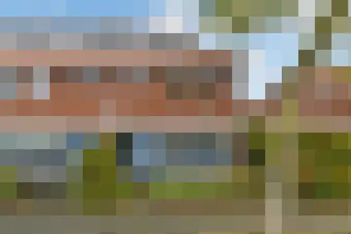 Avondster 30 Elst thumbnail 39