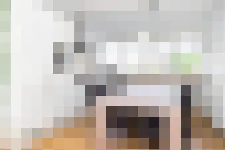 Avondster 32 Elst thumbnail 14