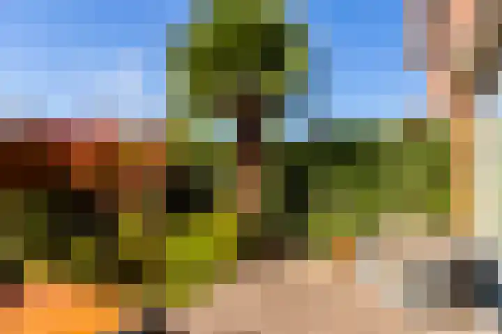 Avondster 32 Elst thumbnail 18