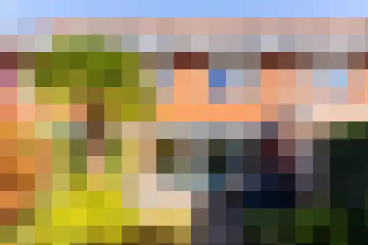 Avondster 32 Elst thumbnail 4