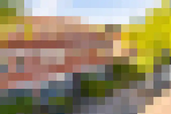Avondster 32 Elst thumbnail 6