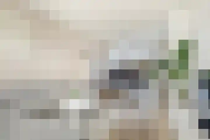 Aysmastins 21 Stiens thumbnail 14