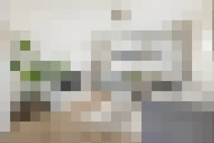 Aysmastins 21 Stiens thumbnail 16
