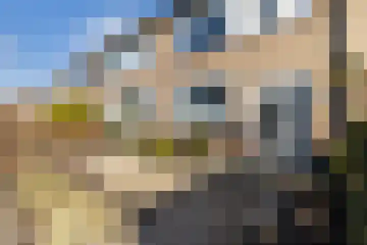 Aysmastins 21 Stiens thumbnail 6