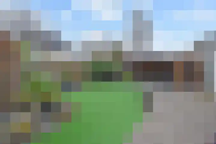 Azalea 7 Nootdorp thumbnail 10