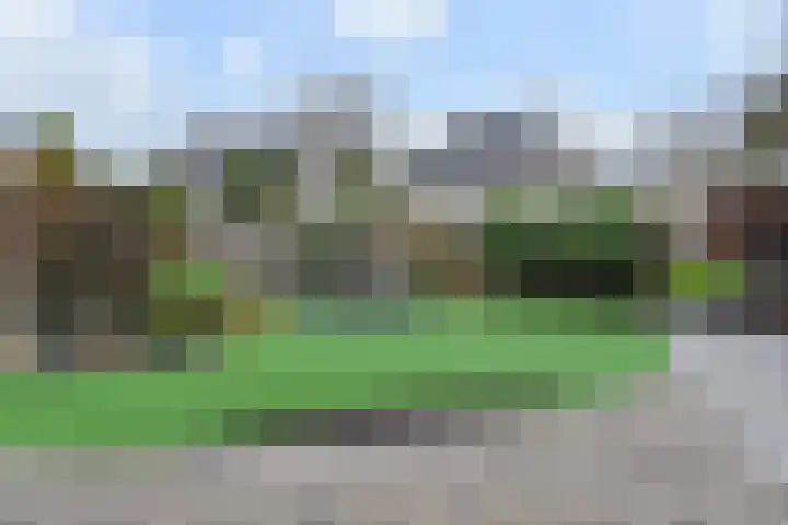 Azalea 7 Nootdorp thumbnail 11