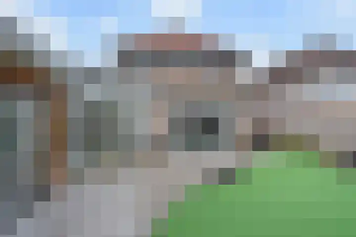Azalea 7 Nootdorp thumbnail 12