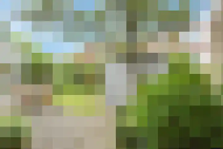 Azalea 8 Nootdorp thumbnail 17