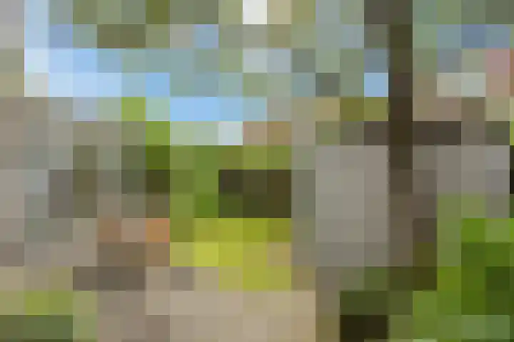 Azalea 8 Nootdorp thumbnail 22