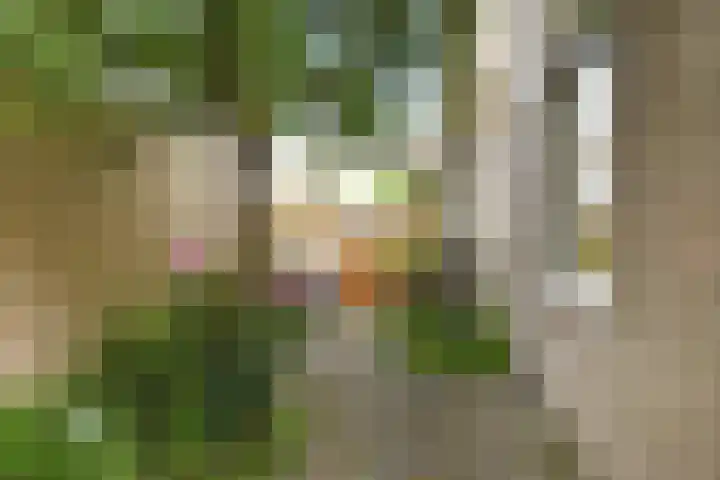 Azalea 8 Nootdorp thumbnail 24