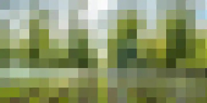 Azalealaan 3 Boskoop thumbnail 10