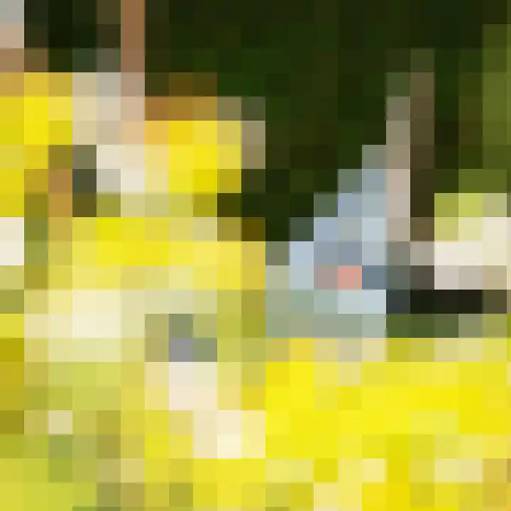 Azalealaan 3 Boskoop thumbnail 14